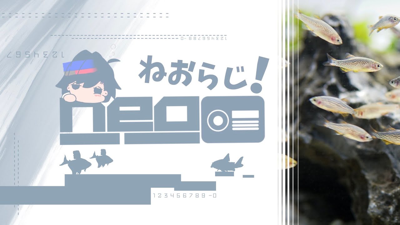 【🔴ねおらじ！】枠取り直しました。ここ最近あった事とか、風邪の事とか、福袋について話す予定　※LIVE配信テストも兼ねて（vol.11） @ne0n_aqua ​