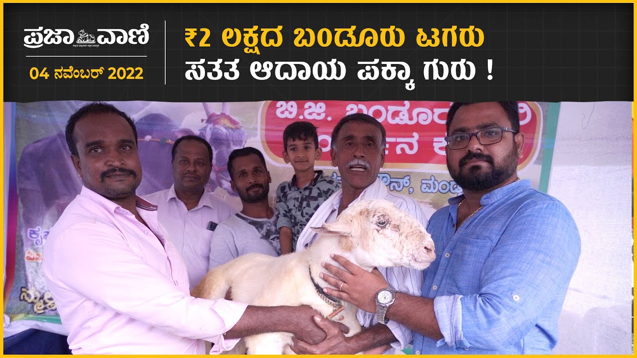 ₹2 ಲಕ್ಷದ ಬಂಡೂರು ಟಗರು: ಸತತ ಆದಾಯ ಪಕ್ಕಾ ಗುರು ! Krishi Mela 2022 Bengaluru | GKVK |