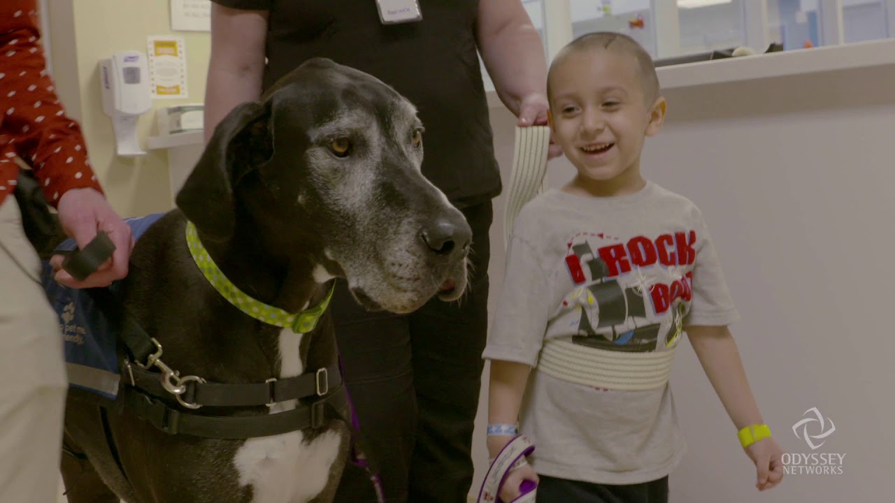 Walter the Rehab Dog