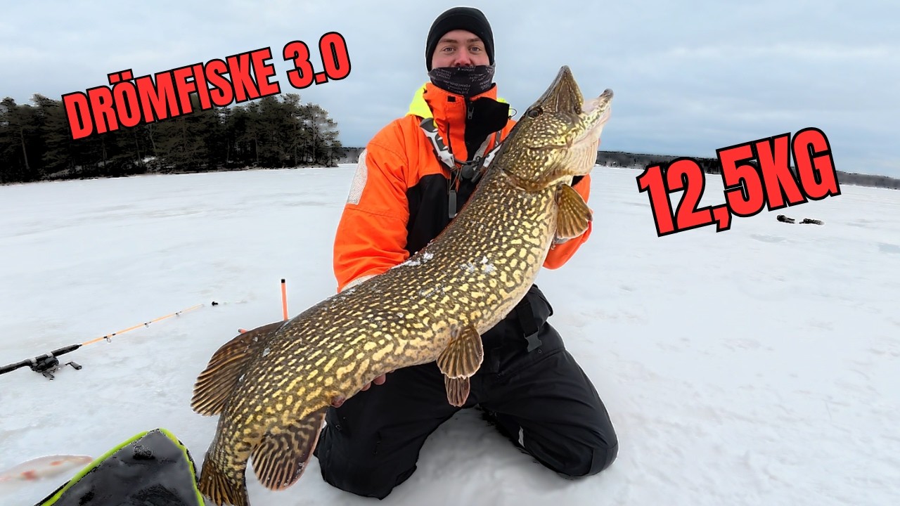 DR&Ouml;MFISKE P&Aring; ISEN 3.0 - 12,5KG G&Auml;DDA (PB)