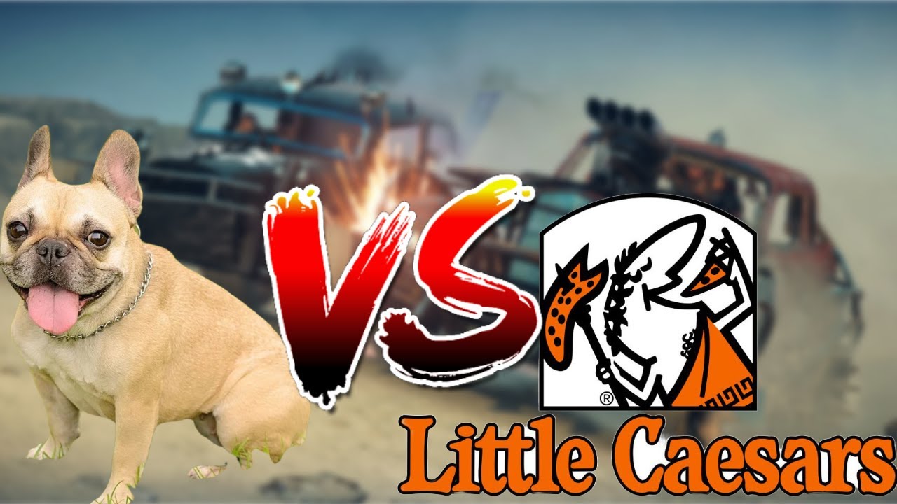 Max Max: French Bulldog Vs Little Caesars