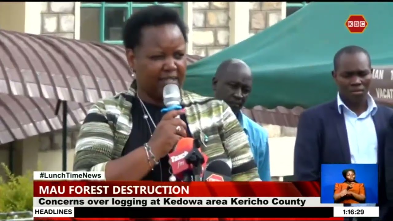 Concerns over logging at Kedowa area Kericho County
