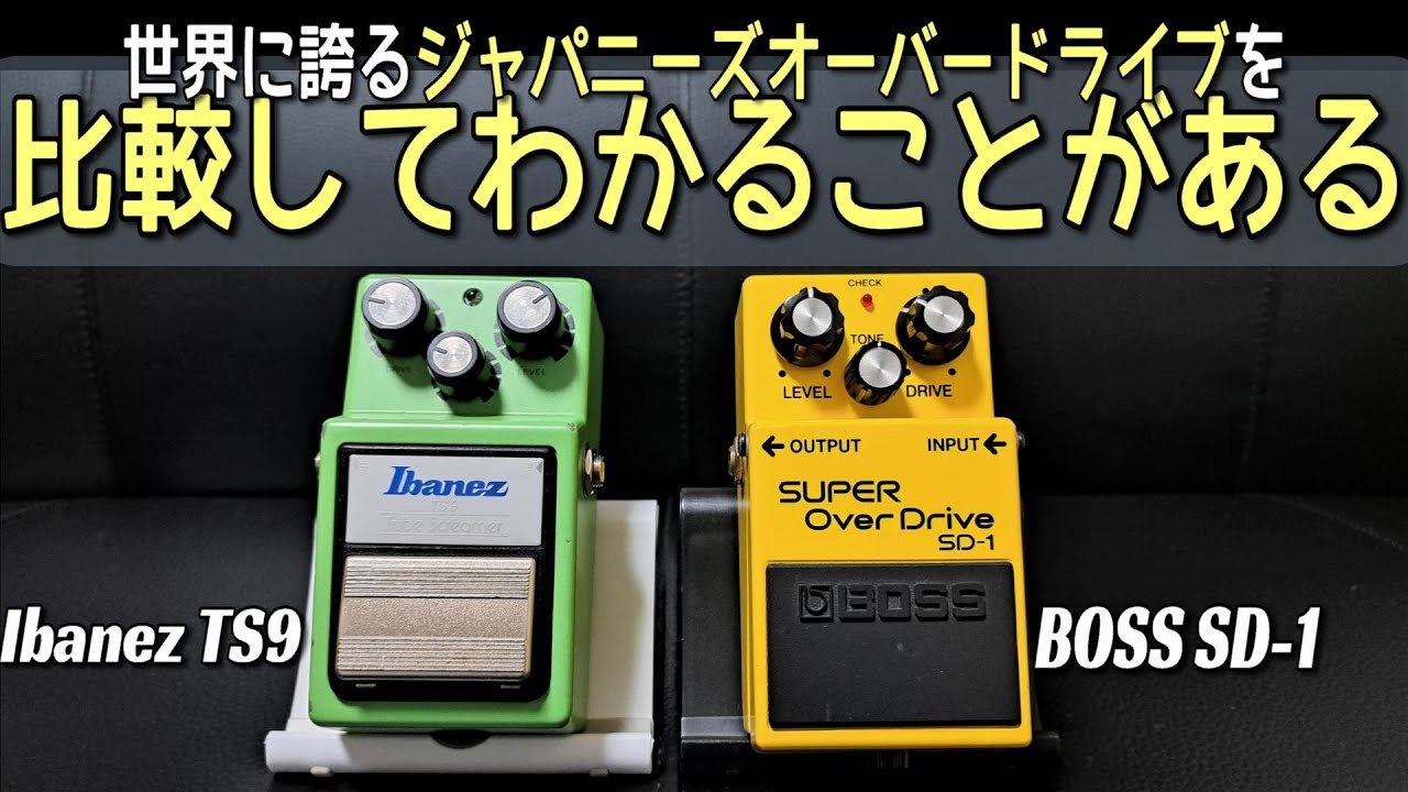 【悩んでいるならこれで解決！】BOSS SD-1 VS Ibanez TS-9 ～エフェクターレビュー～