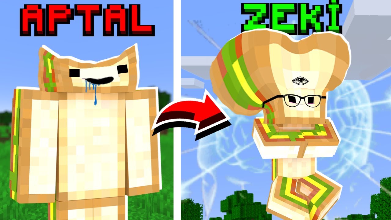 APTAL VS ZEKİ TOST! - Minecraft