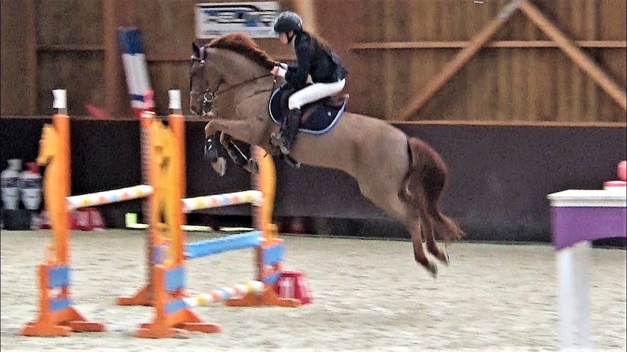 ■ 02/02/2019 - Prépa 115 cm Liverdy-en-Brie Nieland's Joris - CSO - Clara Maitre