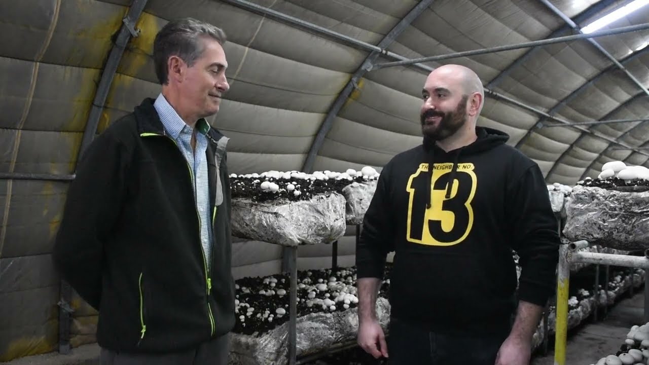 Cultivo ecológico de champiñón en La Rioja