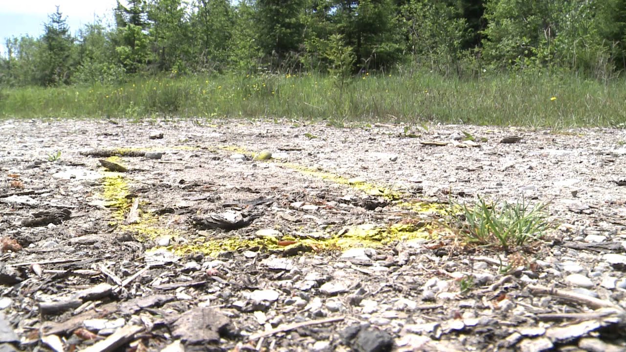 Sexualverbrechen in Herrsching. So verlief die grausame Tat