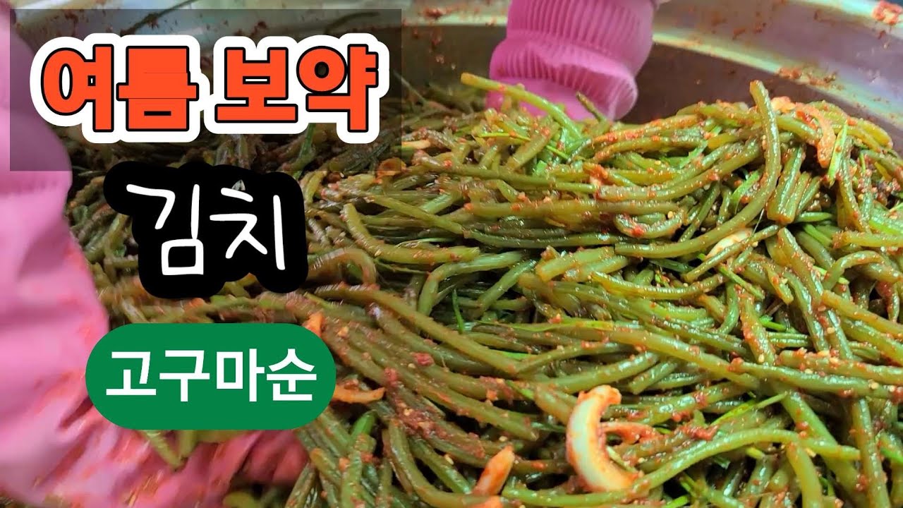 보약 고구마줄기김치,깻잎김치 여름에 제철이죠 산골딸들의 여름생활