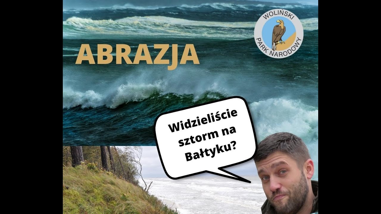 Sztorm na Bałtyku