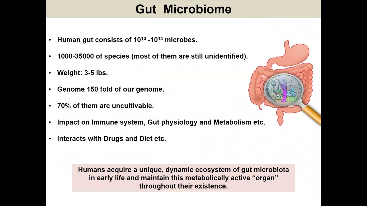 10.20.21 Functional crosswalk between the gut microbiota and endometriosis