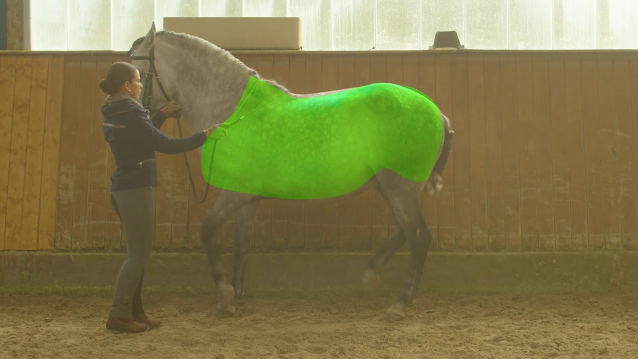 Klassische Reitkunst mit Conny Siemes- Wie ver&auml;ndert sich das Exterieur eines Pferdes in der Piaffe