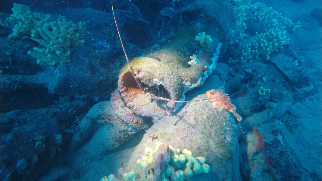 Underwater Treasure Hunt. Lobster in a Roman Vase ! Scuba Diving on Roman Vases in a Shipwreck.