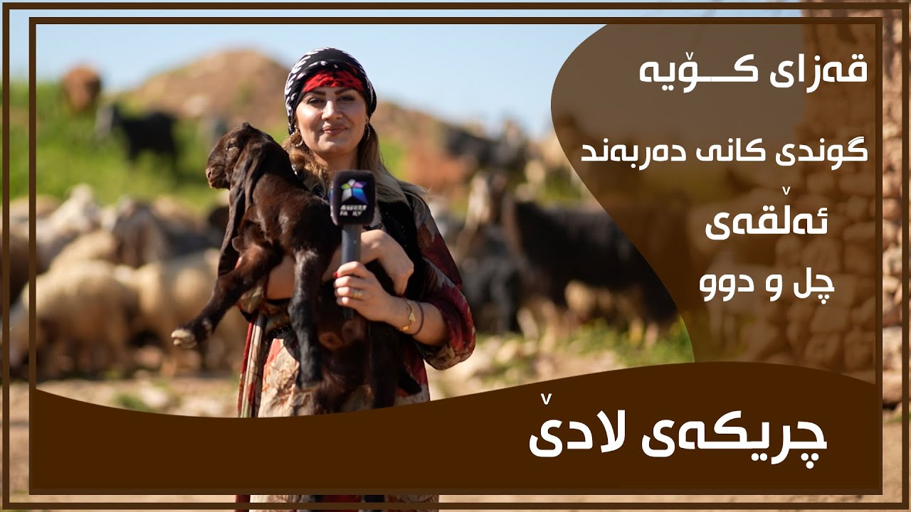 CHRIKAI LADE - ALQAY - 42 - GUNDI KANIDARBAND | چریكه‌ی لادێ - ئه‌ڵقه‌ی - ٤٢ - گوندی كانی ده‌ربه‌ند