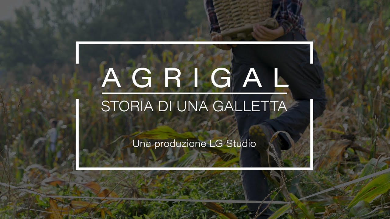 Storia di una Galletta | AGRIGAL