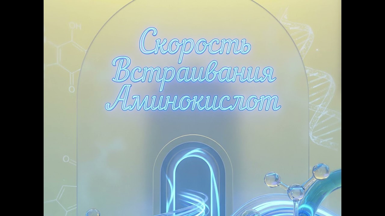 Скорость встраивания аминокислот.