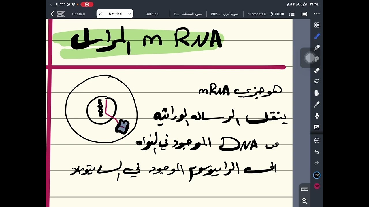 أنواع RNA 