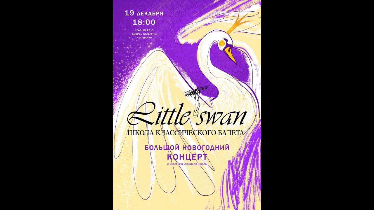 Little swan Большой новогодний концерт 2024