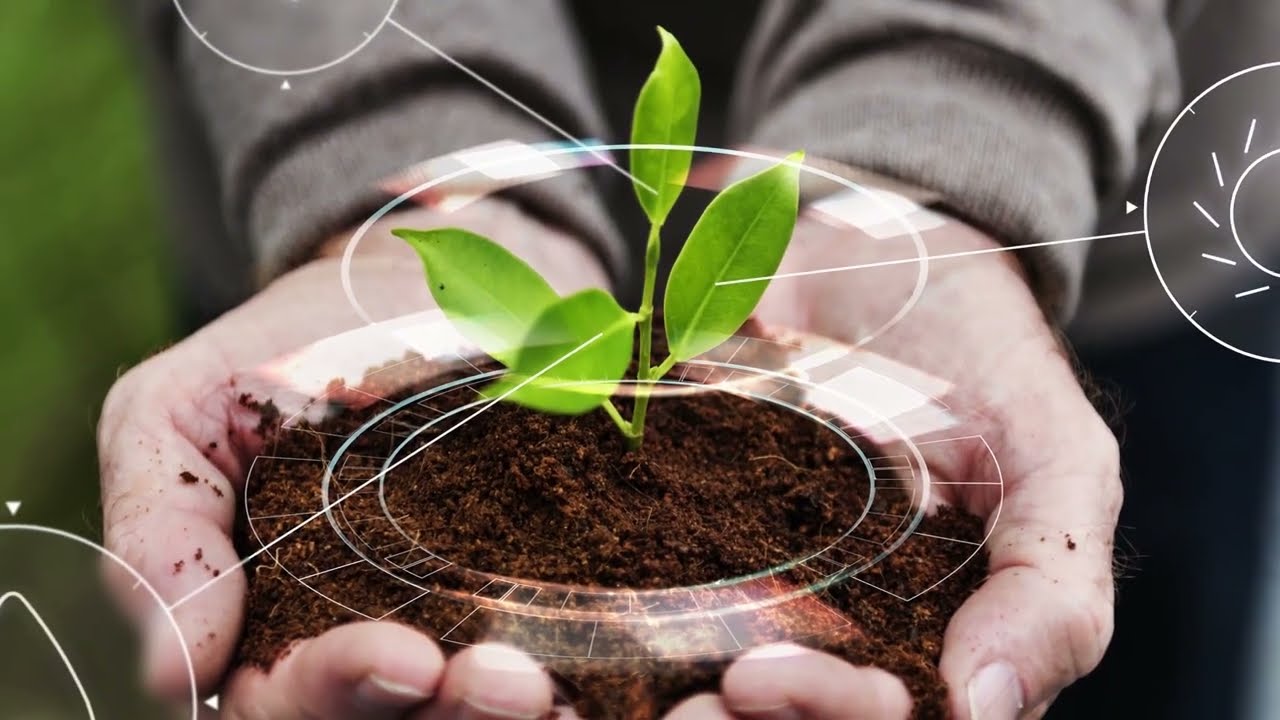 Economia Circular - Algumas imagens a respeito de ir além da Sustentabilidade. Veja e assine o canal