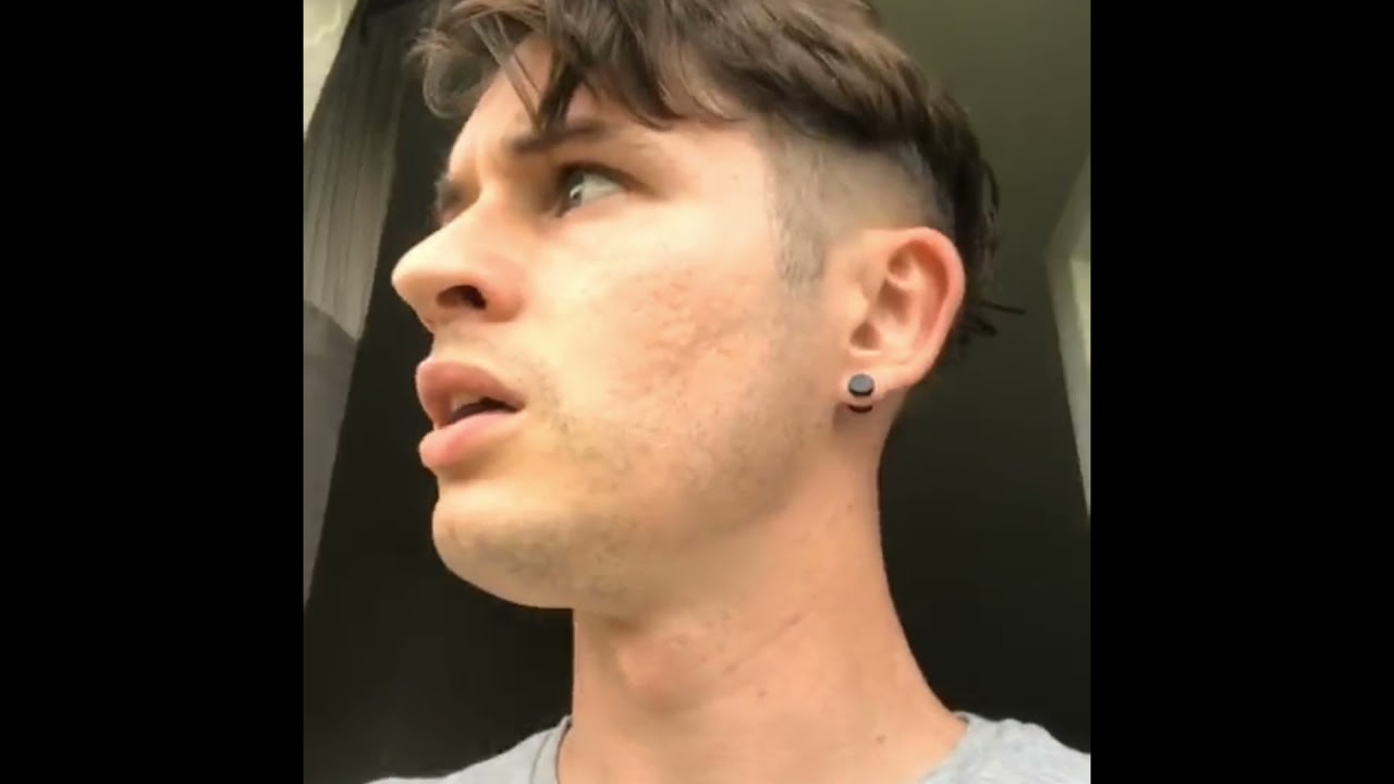 Who's horse is that viral tiktok (NEW TREND)