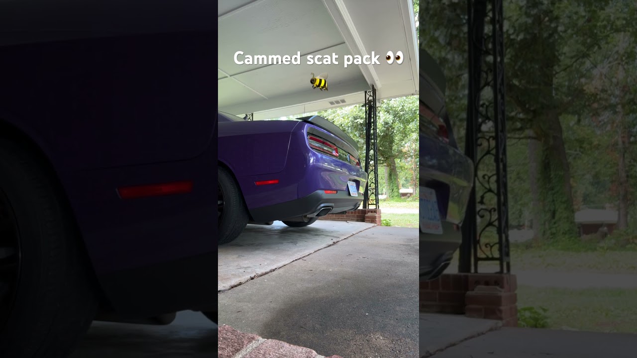 Cammed scat pack 😂🐝 