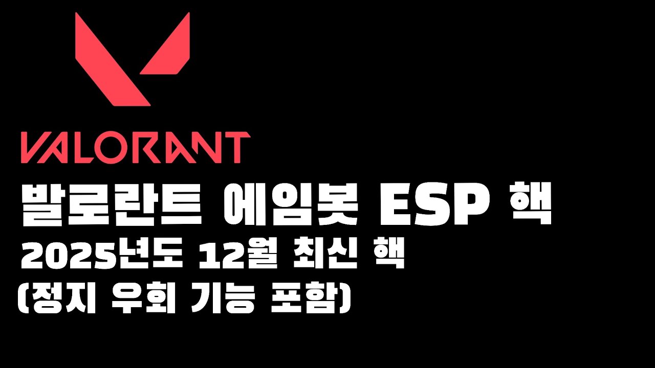 발로란트 에임봇 ESP 핵 2025년도 12월 최신 핵 (정지X)