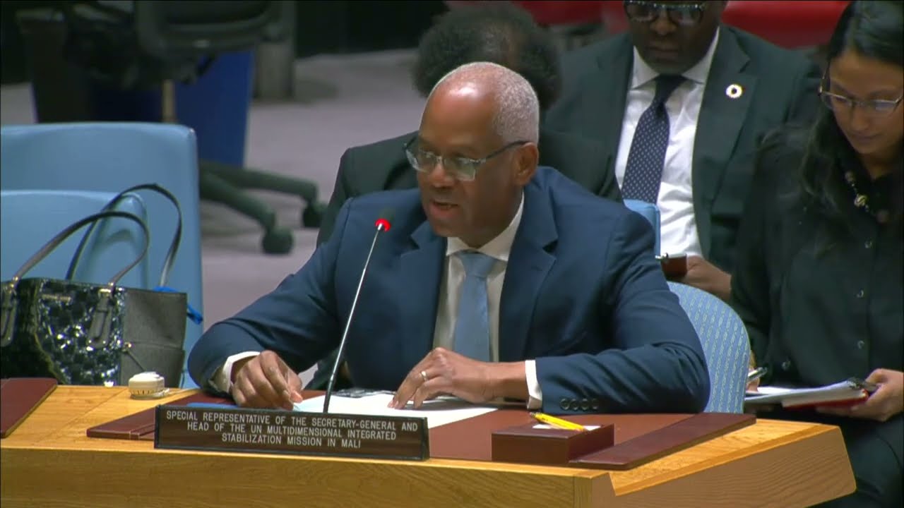 Le Chef de la MINUSMA présente le rapport du SG devant le Conseil de Sécurité des Nations Unies