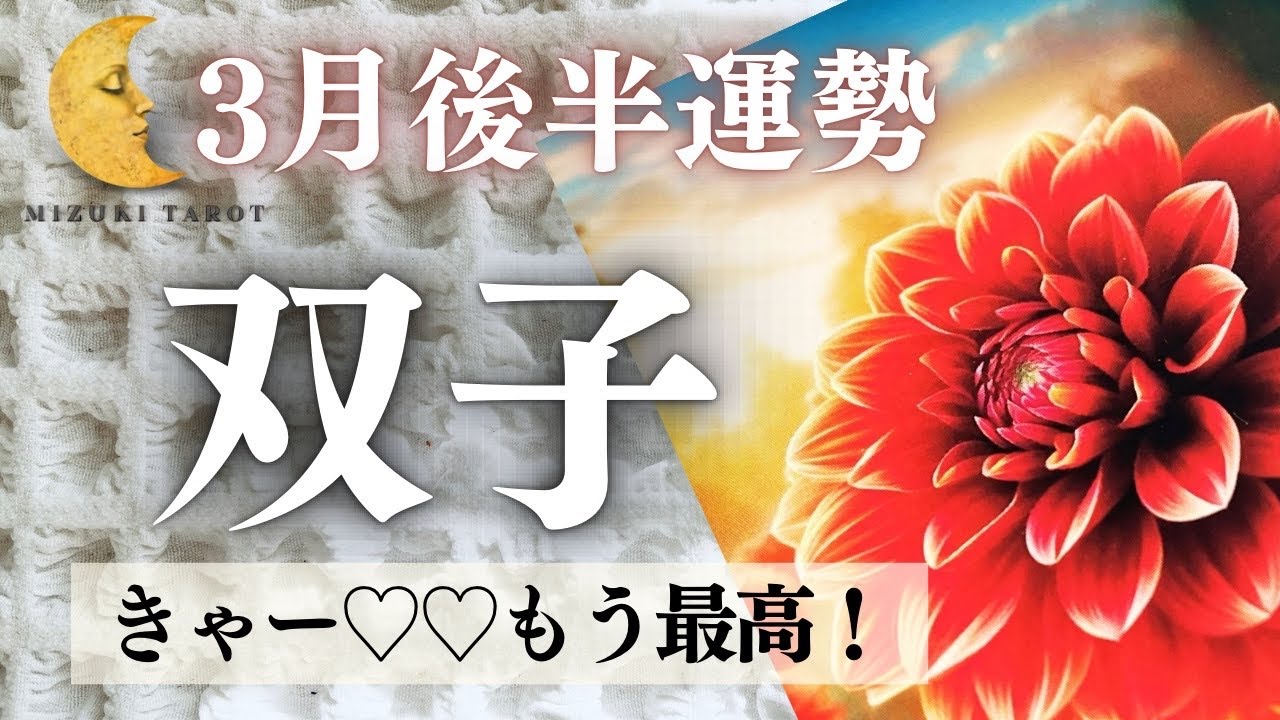 2233また出た❣️夢に向かって全集中！トキメキで胸が破裂しちゃうかも💓【ふたご座3月後半運勢】