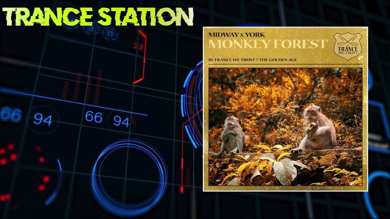 Midway x York - Monkey Forest (Extended Mix) [IN TRANCE WE TRUST]