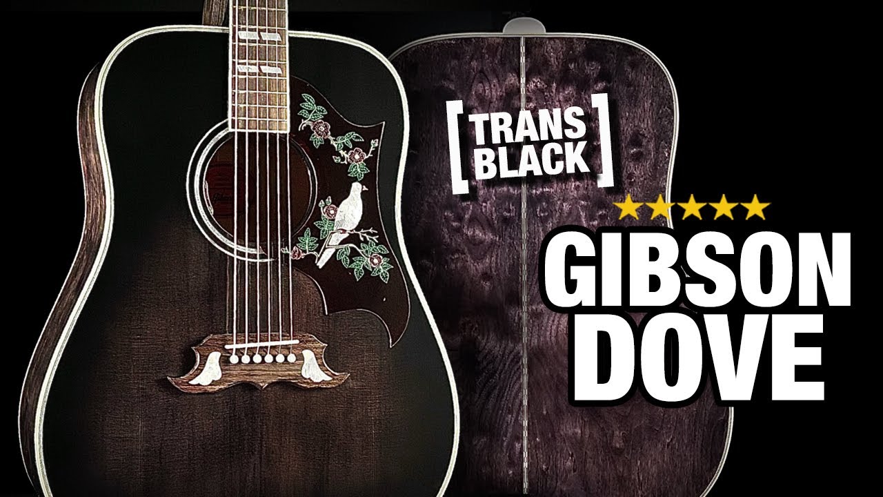 A Tough Looking Gibson Dove (with Trans-Black Finish)