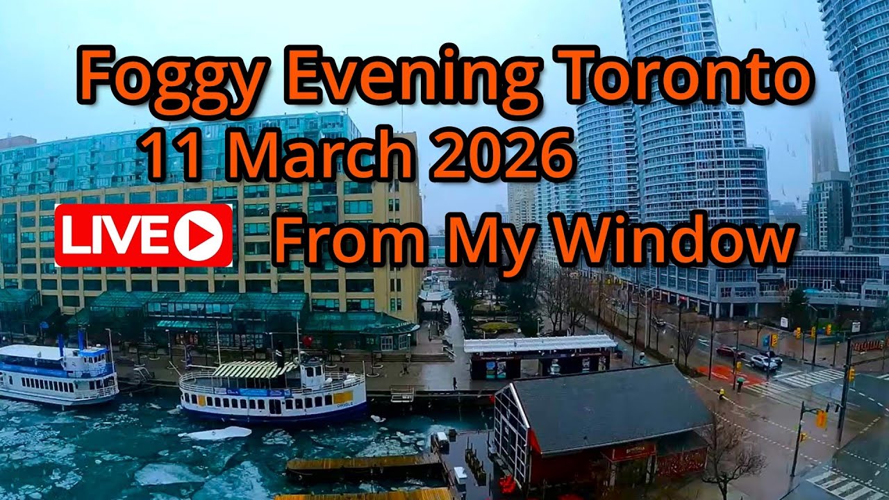 🔴Toronto Window Cam LIVE HD | MaoChow Adventure 11th March 2026  Evening vibes