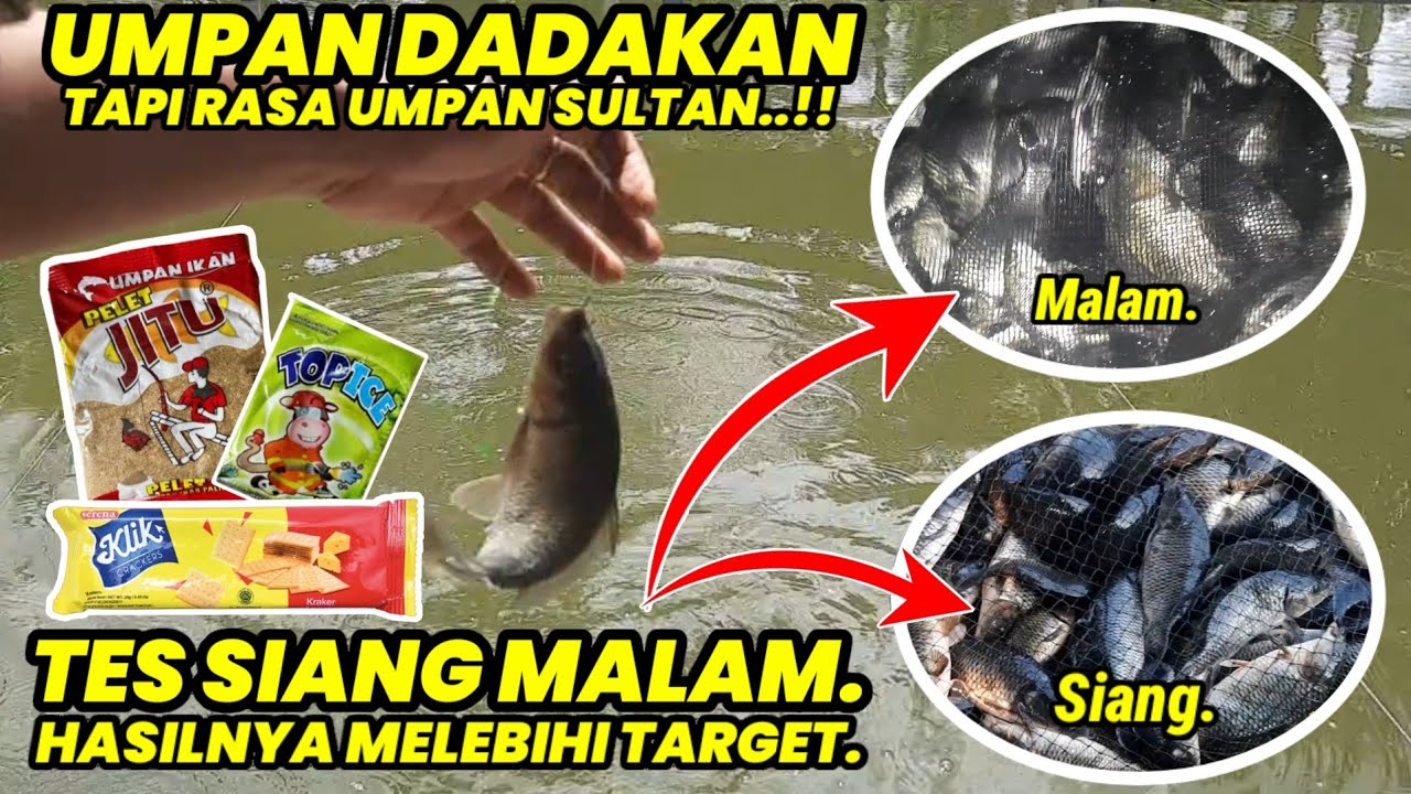SADISSS..!! Ternyata ada racikan umpan ikan mas dadakan sekejam ini.