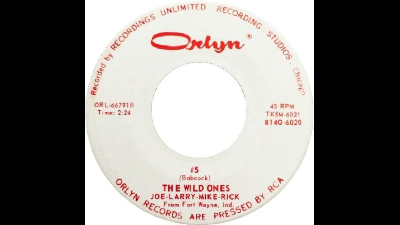 The Wild Ones - #5. 1966 Garage Surf Instrumental