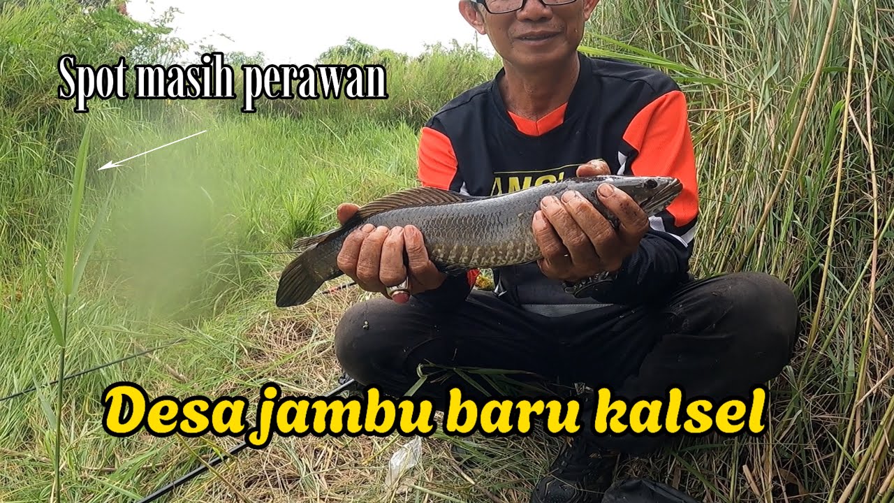 Spot viral desa jambu baru - SPOT PERAWAN