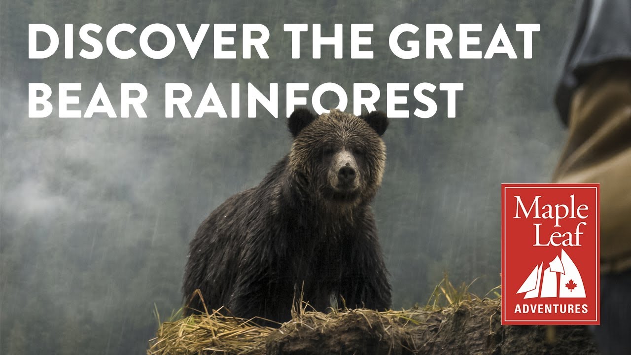 Earth's great wild places: the Great Bear Rainforest