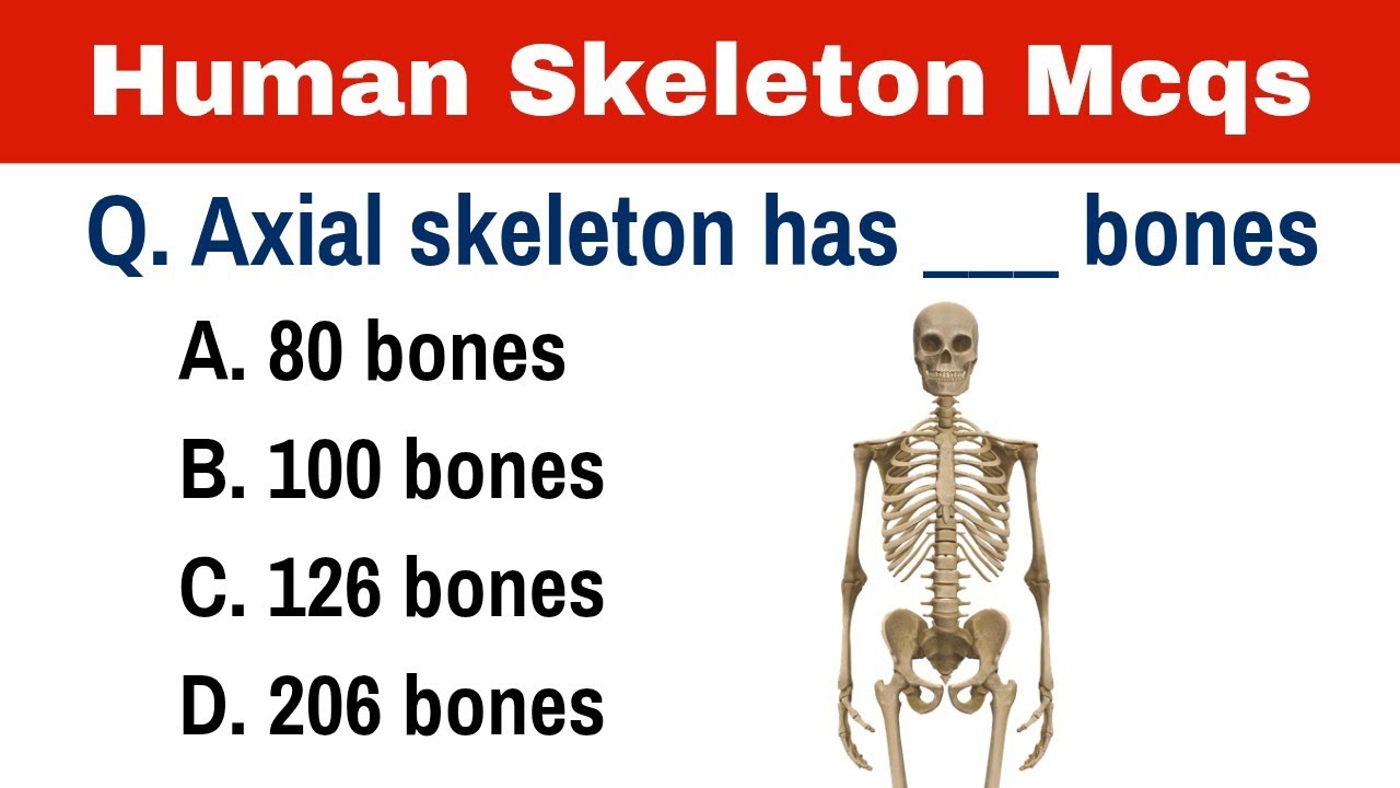 Top 30 Skeletal System MCQS | #biology #anatomy | #education 
