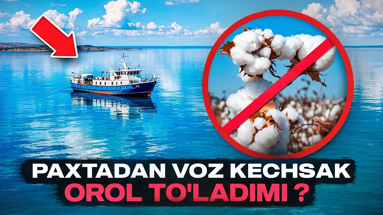 Paxtadan voz kechsak Orol to'ladimi? | Oddiy tilda | ‪@tangauzb‬