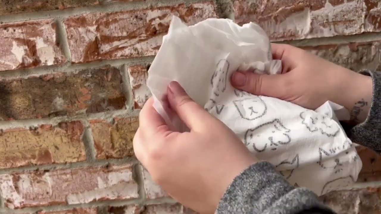 Parasol Diaper Samples - An Honest Review!