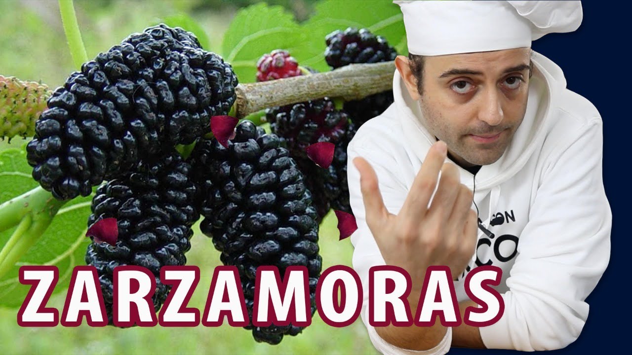 Mermelada de ZARZAMORA