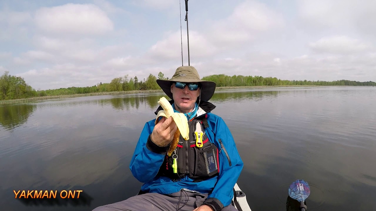 Bananas Are Bad Luck Fishing