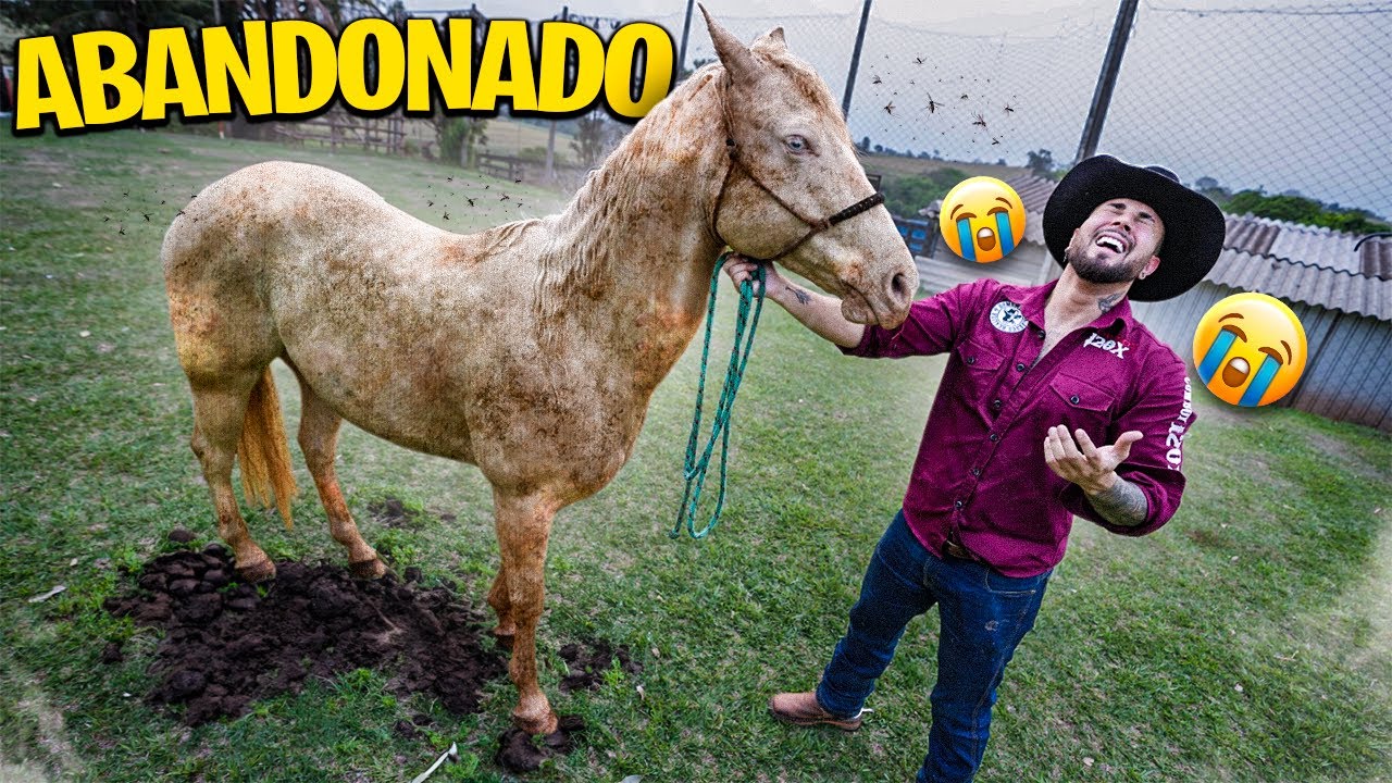 MEU CAVALO ESTÁ ABANDONADO 😭😭