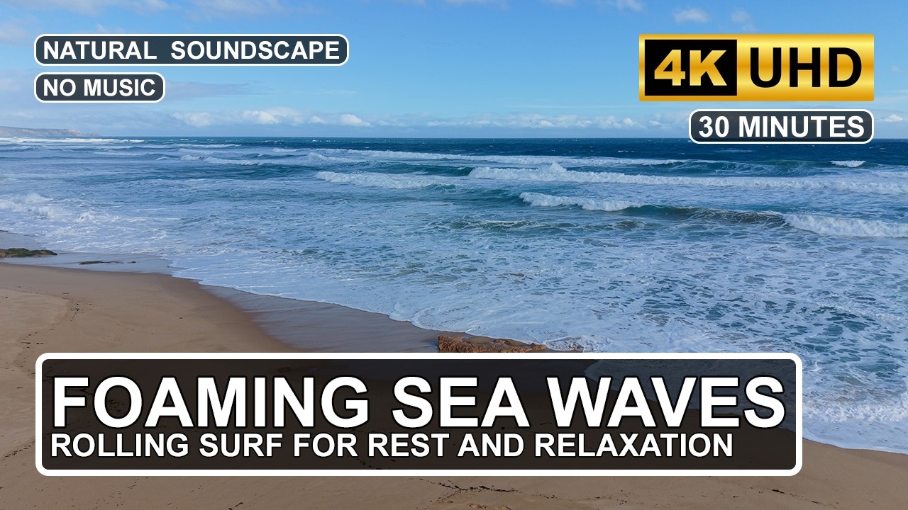 30 Minutes Wild Ocean Winds & Waves | Relaxing ASMR Beach Soundscape for Deep Sleep, Rest & Recovery