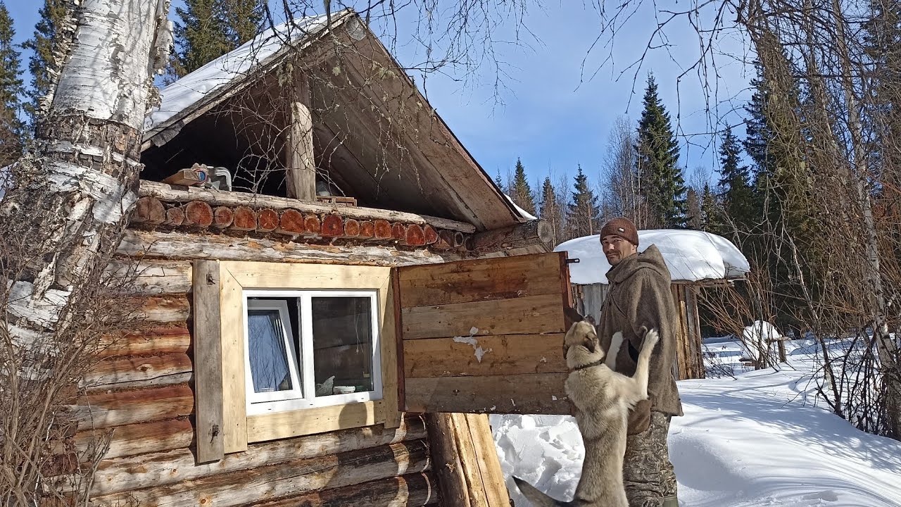 БУДУ НАДЕЯТЬСЯ ЧТО МЕДВЕДЬ НЕ СЛОМАЕТ / ЗАЩИТА ОКНА СТАВНЕМ / БЫТ В ТАЙГЕ / МЕЛКИЙ РЕМОНТ В ИЗБЕ.