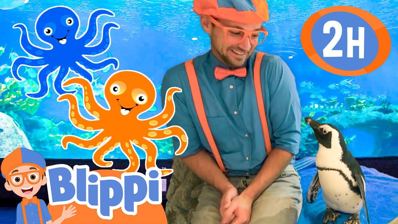 Blippi Feeds Sea Creatures at the Aquarium | BEST OF BLIPPI TOYS | Educational Videos for Kids