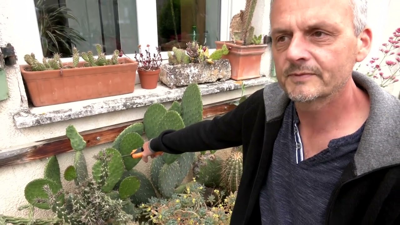 Un jardin qui a du piquant !