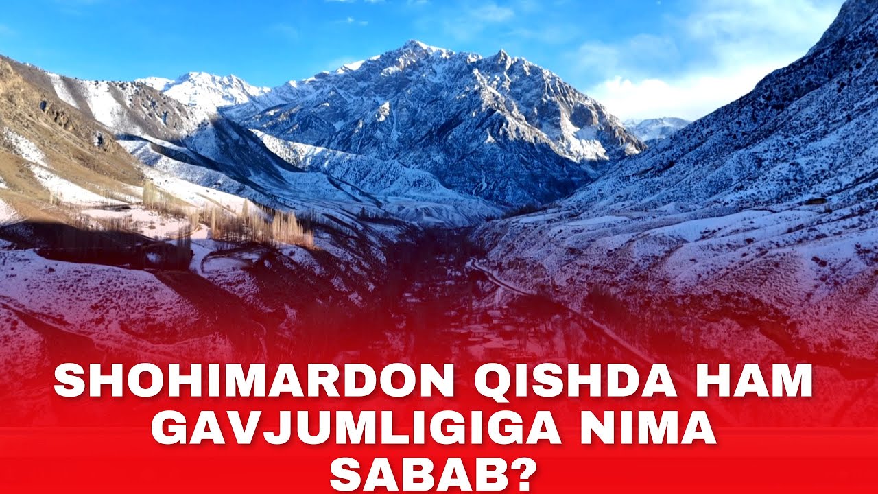 SHOHIMARDON QISHDA HAM GAVJUMLIGIGA NIMA SABAB?