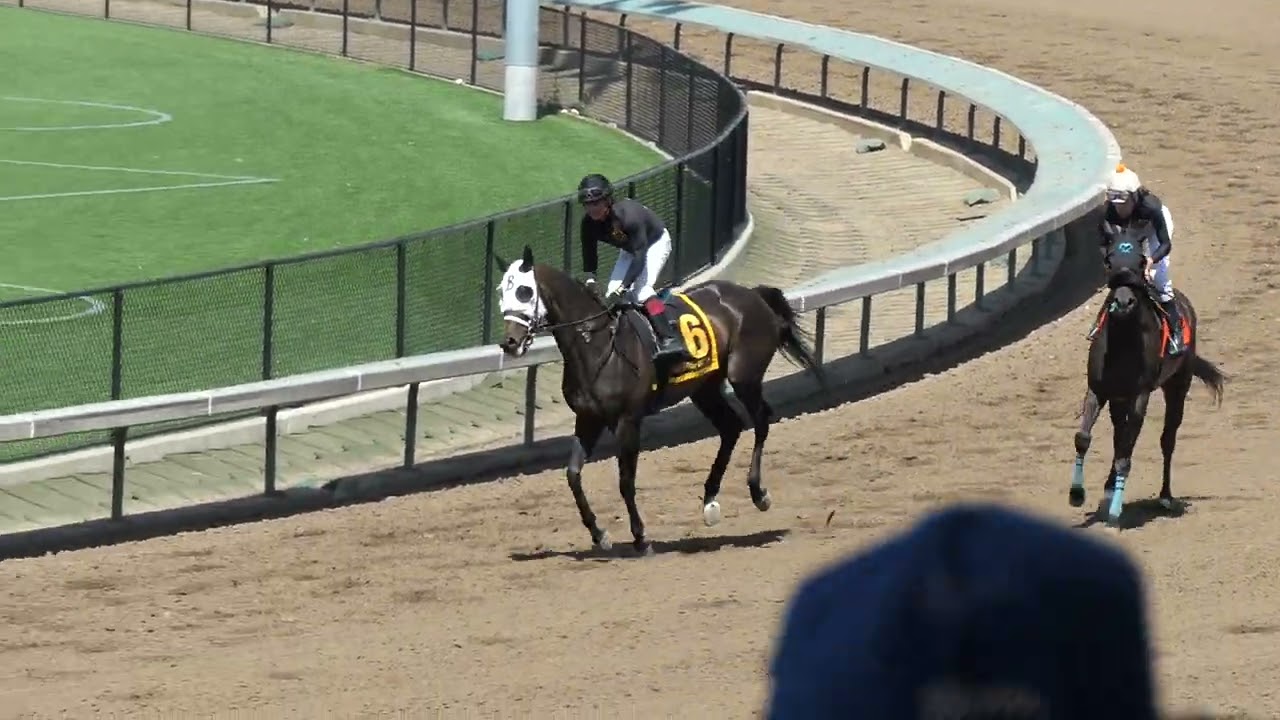 2025年6月22日。Grants Pass Downs競馬場第5レース。勝馬：Midnight Symphony