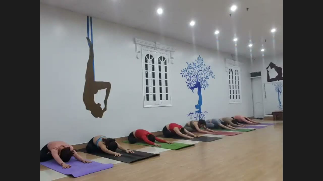 Yoga kết hợp với tường - Thêm Bùi Yoga