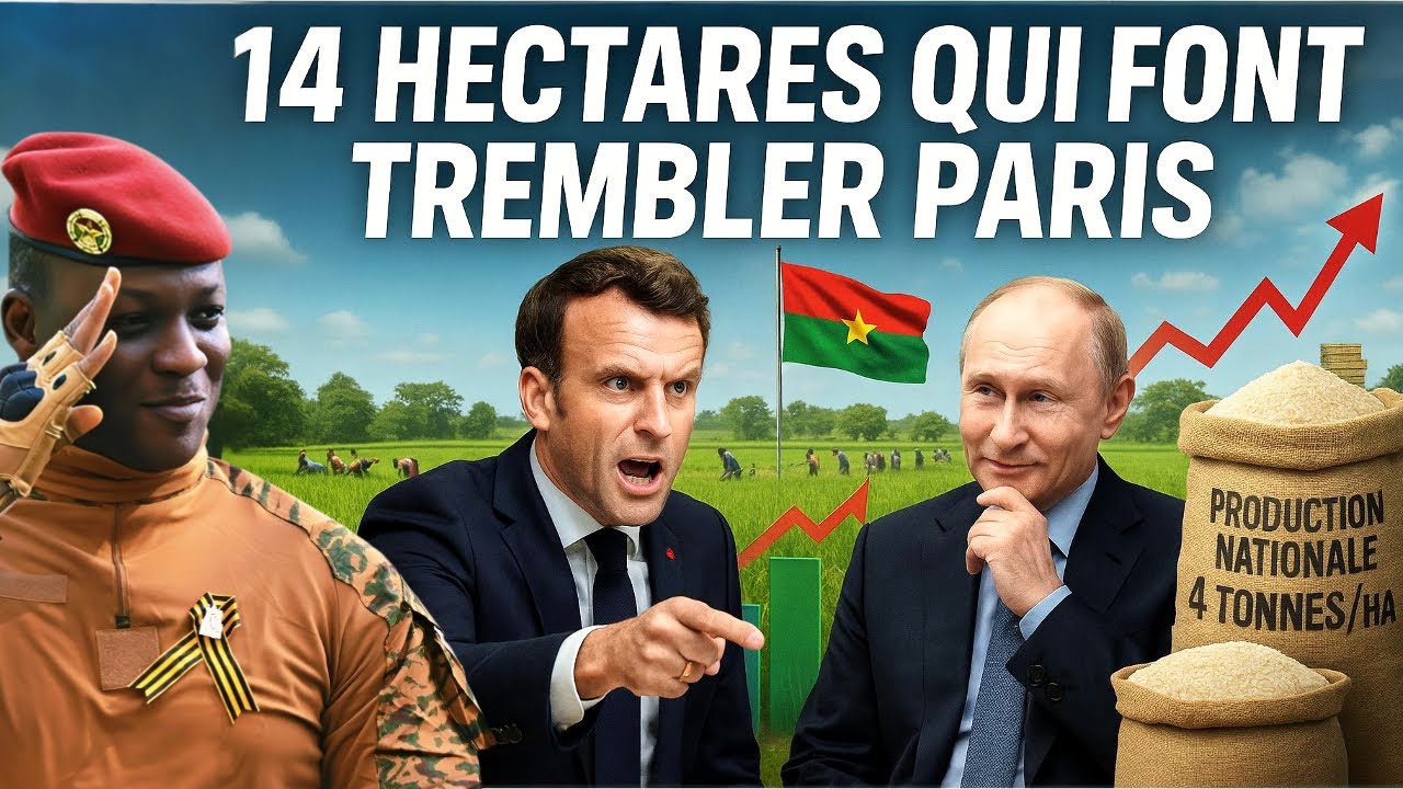 Ibrahim Traoré : 14 hectares, 4 tonnes à l’hectare – le projet qui choque toute l’Afrique !
