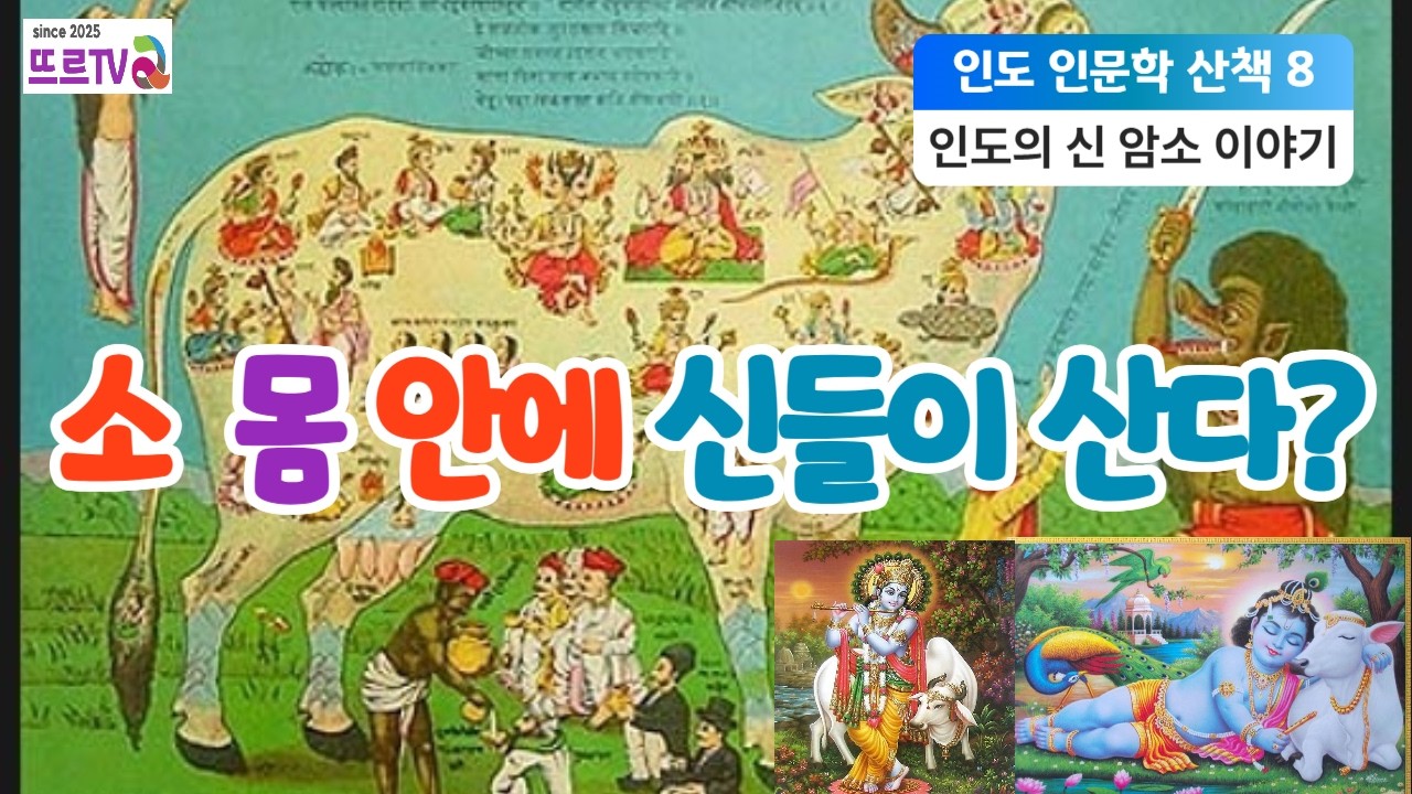 인도 인문학 산책 8｜암소에 정말 신들이 있는가?  힌두교와 신성의 비밀