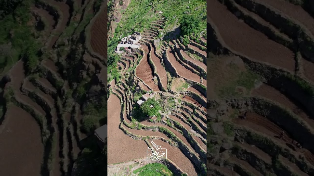 الجنوب